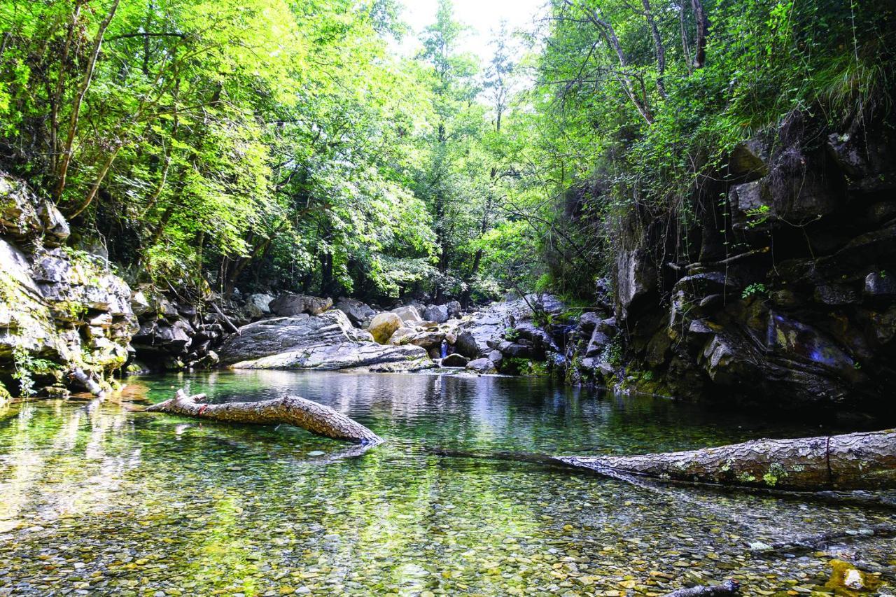 Agriturismo Nonnamelia Nasino Dış mekan fotoğraf