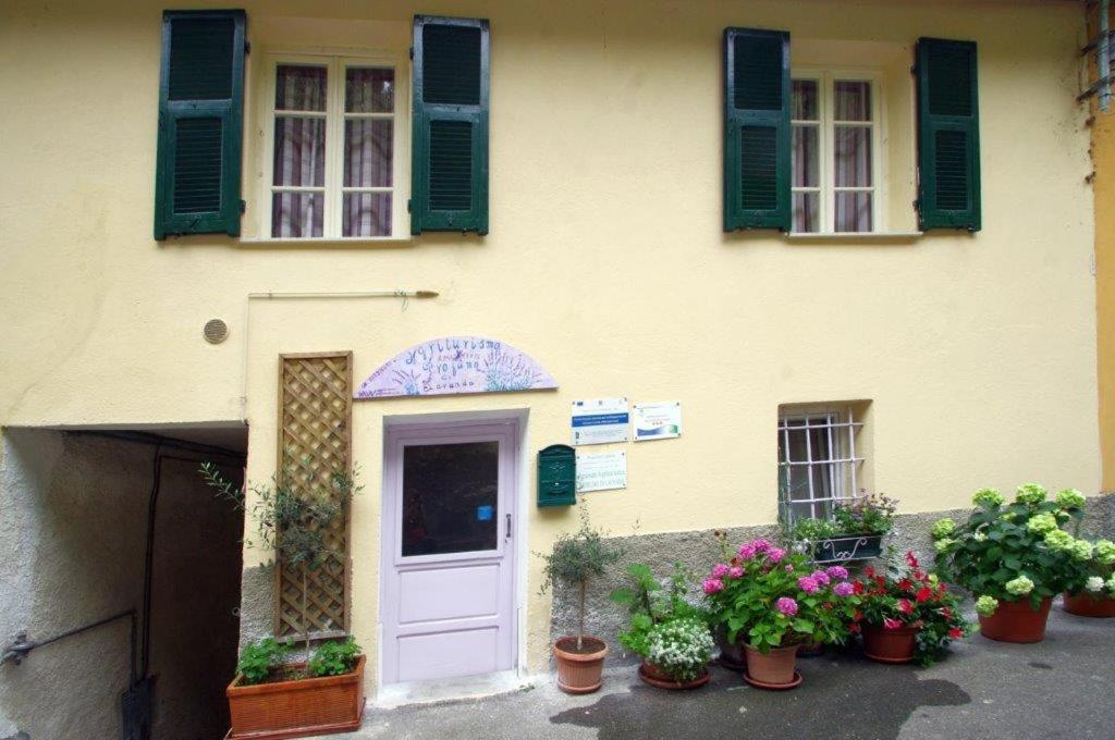 Agriturismo Nonnamelia Nasino Dış mekan fotoğraf
