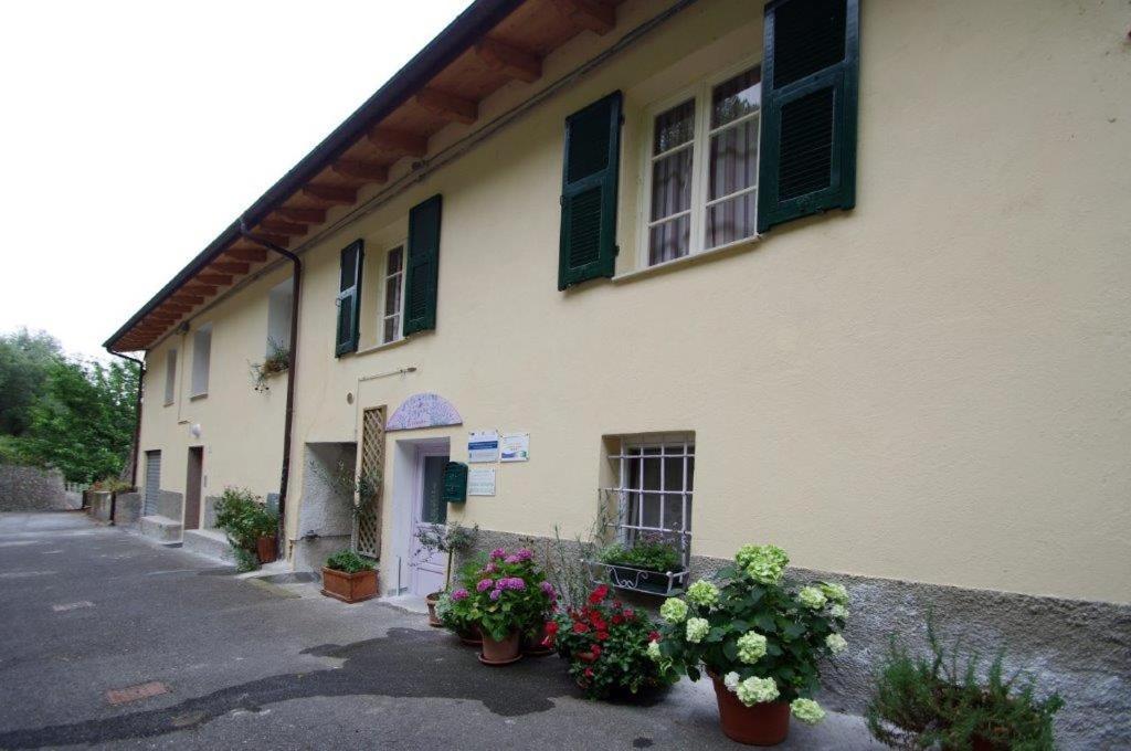 Agriturismo Nonnamelia Nasino Dış mekan fotoğraf