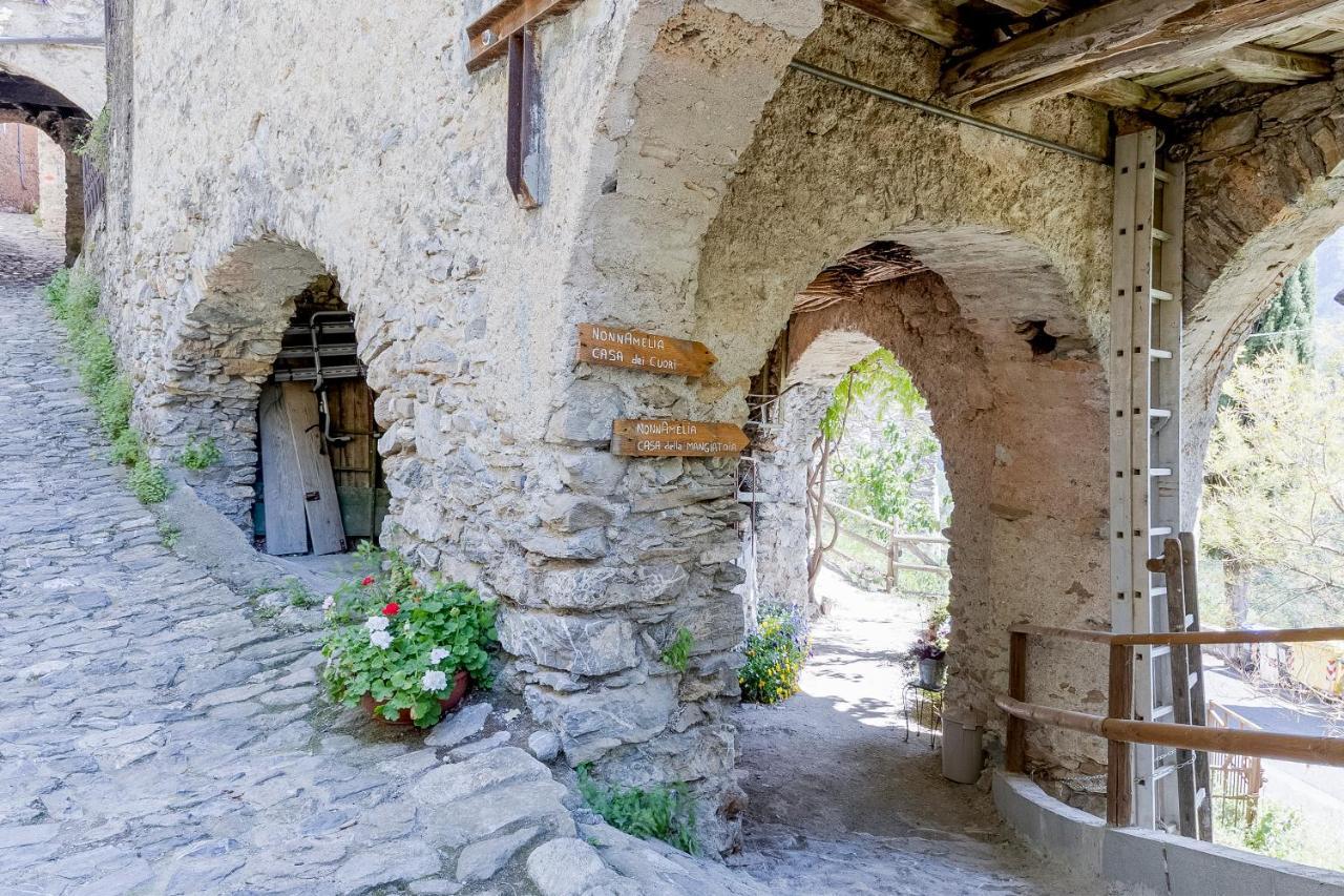 Agriturismo Nonnamelia Nasino Dış mekan fotoğraf